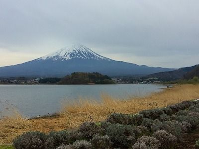 イメージ 47