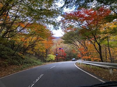 イメージ 10