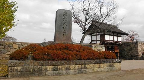 イメージ 31