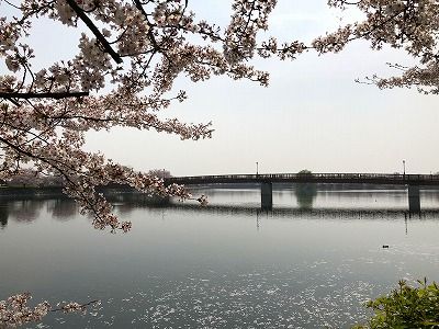 イメージ 5