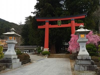 イメージ 51