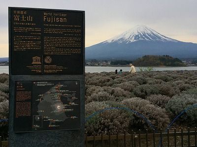 イメージ 43