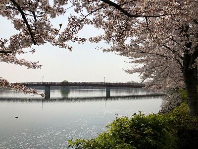 イメージ 6
