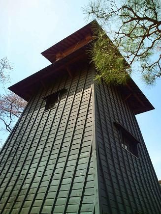イメージ 8