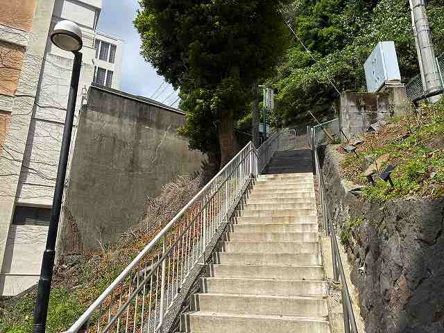 IMG_5338
