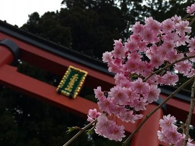 イメージ 52