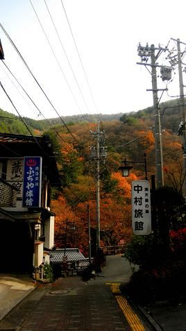 イメージ 28