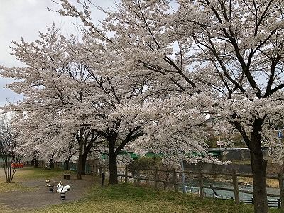 イメージ 48