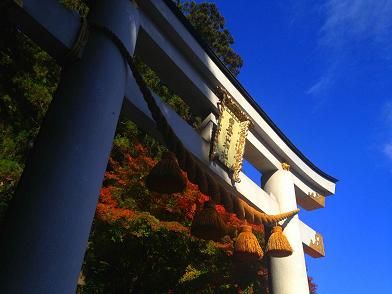 イメージ 11