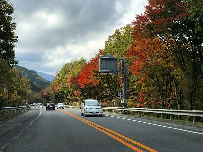 イメージ 8