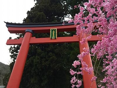 イメージ 53