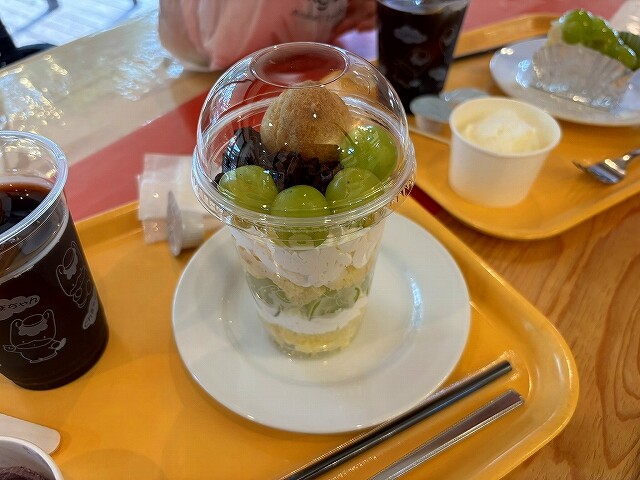 IMG_6378