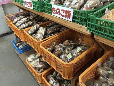 イメージ 40