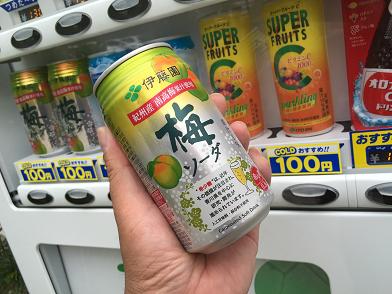 イメージ 17