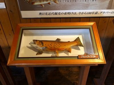 イメージ 57