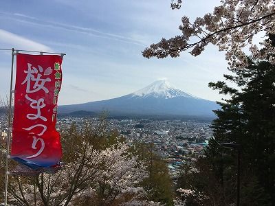 イメージ 11