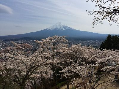 イメージ 16