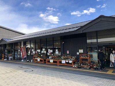 イメージ 17