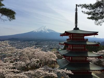 イメージ 14