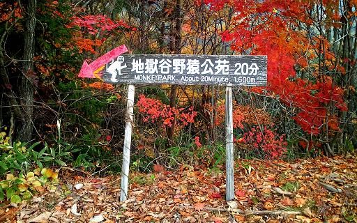 イメージ 9