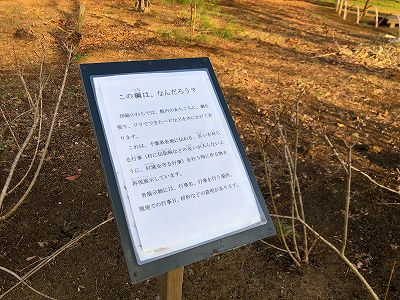 イメージ 53