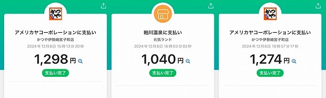 スクリーンショット (14954)