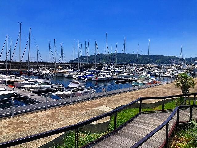 IMG_8592
