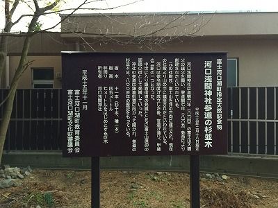 イメージ 56