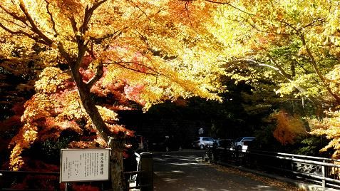 イメージ 30