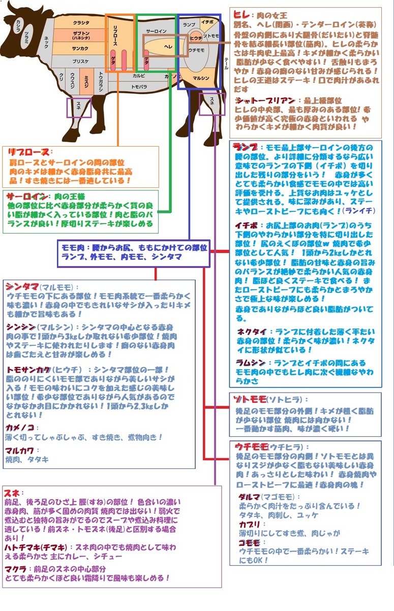 牛　部位　ランプなど