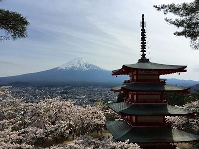 イメージ 13