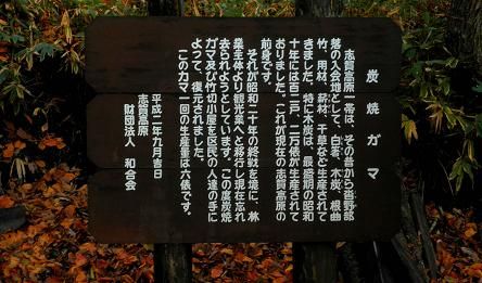 イメージ 26