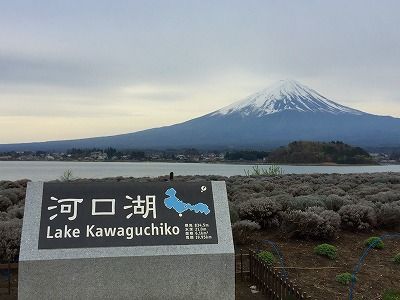 イメージ 42