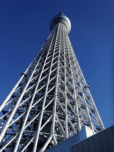 イメージ 16