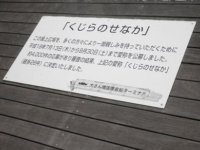 イメージ 13