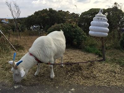 イメージ 39