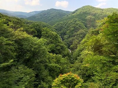 イメージ 29