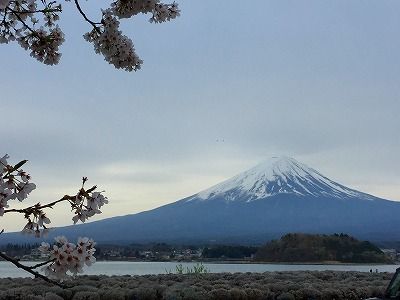 イメージ 38