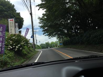 イメージ 33