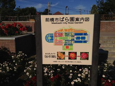 イメージ 12