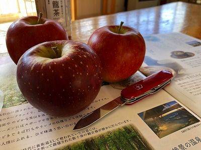 イメージ 11