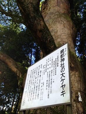 イメージ 7
