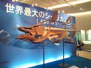 イメージ 8