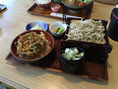 イメージ 8