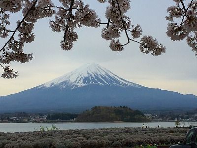 イメージ 39