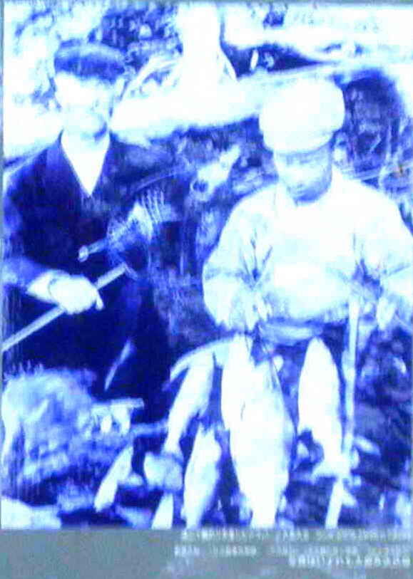 イメージ 33
