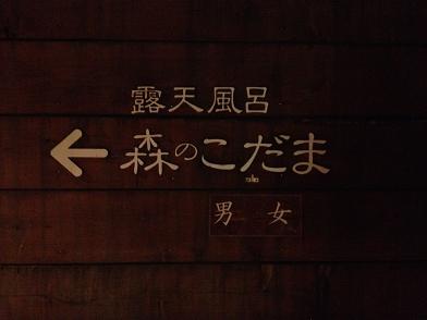 イメージ 19