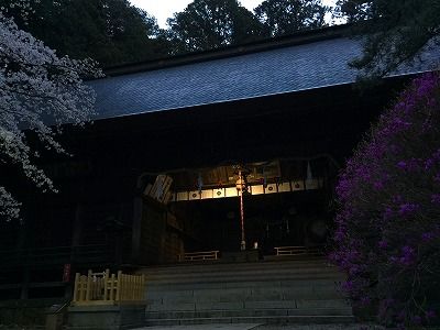 イメージ 68