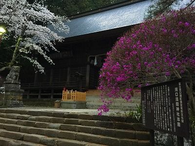 イメージ 62
