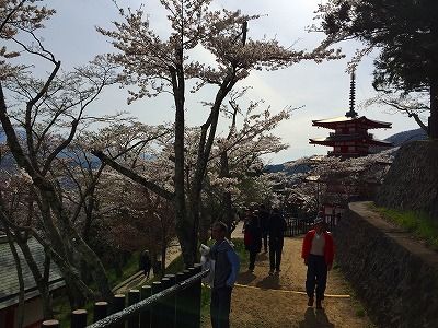 イメージ 24